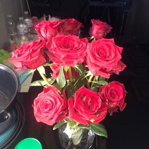 Meet your Posher, Daisy